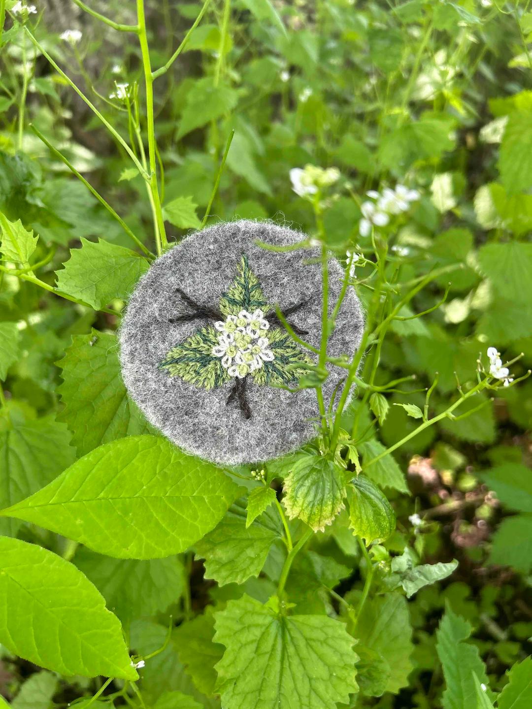 Invasive Species of the Northeast Embroidery Kits